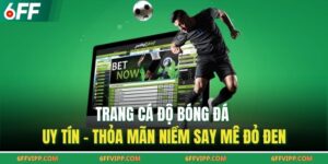 Trang Cá Độ Bóng Đá Uy Tín – Thỏa Mãn Niềm Say Mê Đỏ Đen